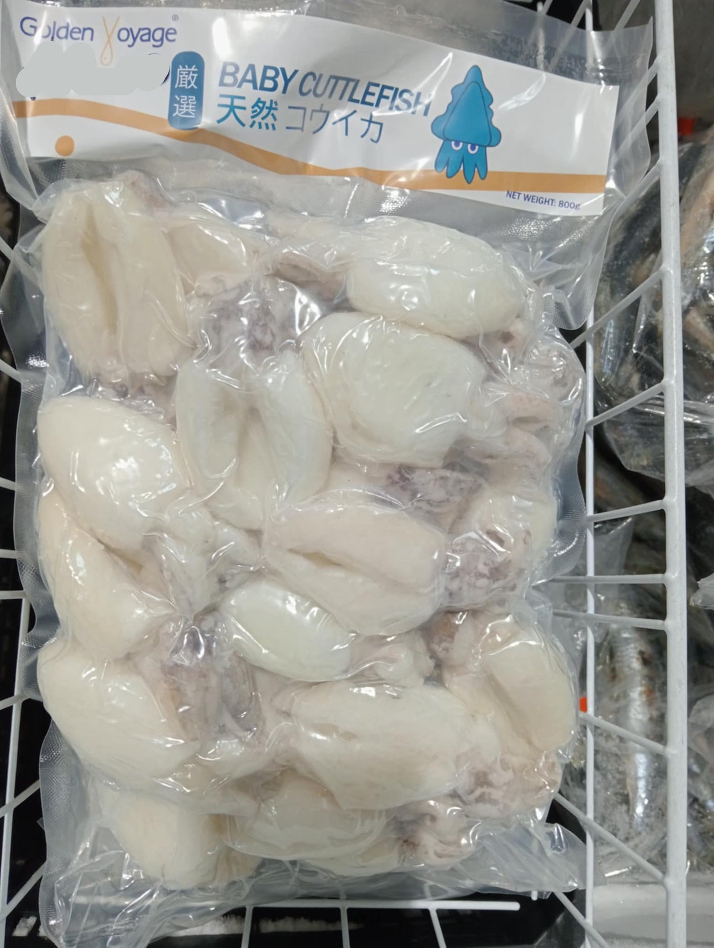 Baby Cuttlefish 800gms
