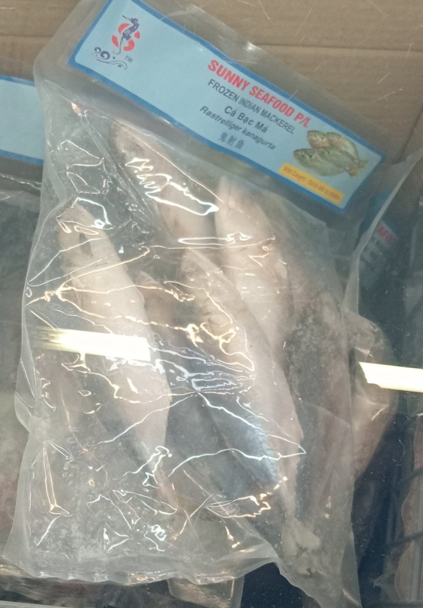 FROZEN INDIAN MACKEREL
