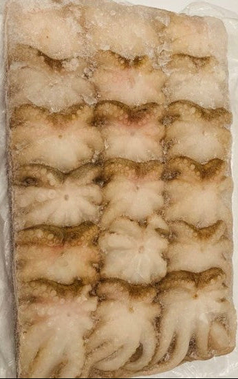 BABY OCTOPUS 1KG